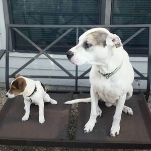 Meet your Posher, Vegas